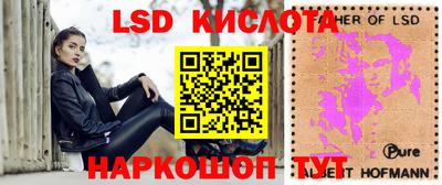 apvp Нальчик
