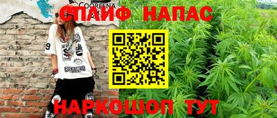 apvp Нальчик