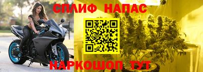 apvp Нальчик