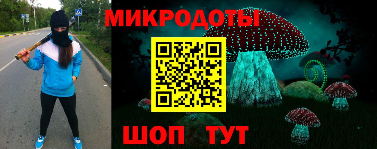 Галлюциногенные грибы Cubensis Саранск