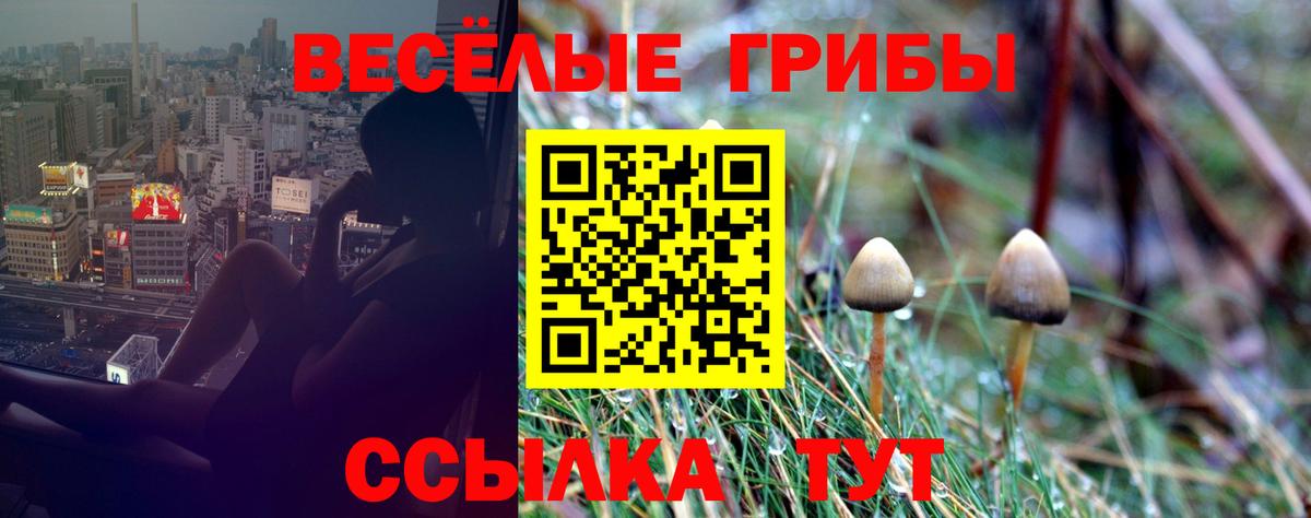 Псилоцибиновые грибы мицелий  Вход с VPN  Саранск 